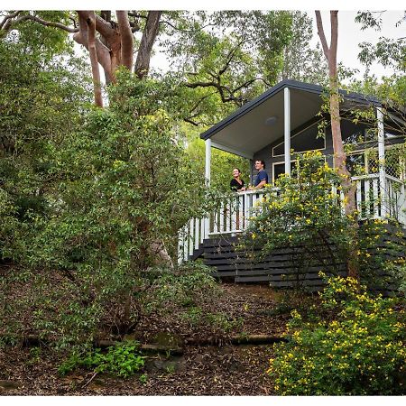 Discovery Parks - Lane Cove Sidney Dış mekan fotoğraf